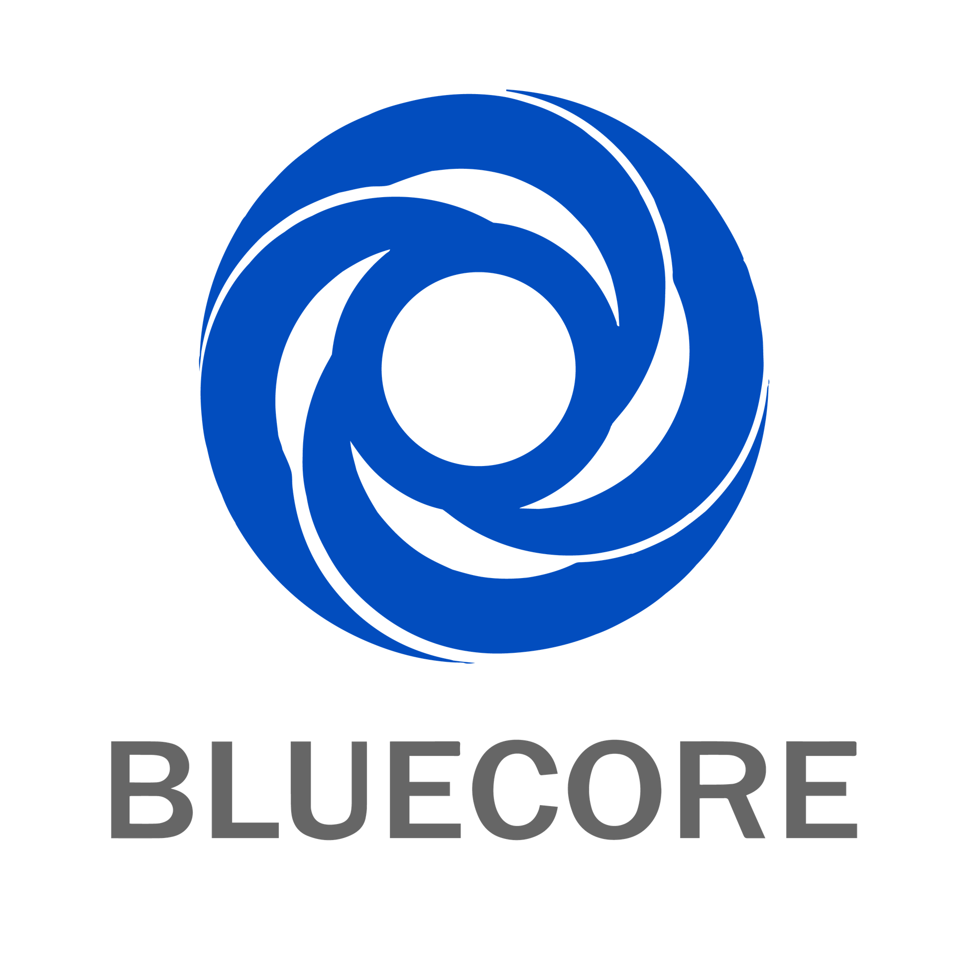 Bluecore Networks